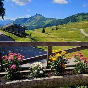 Poschnhütte