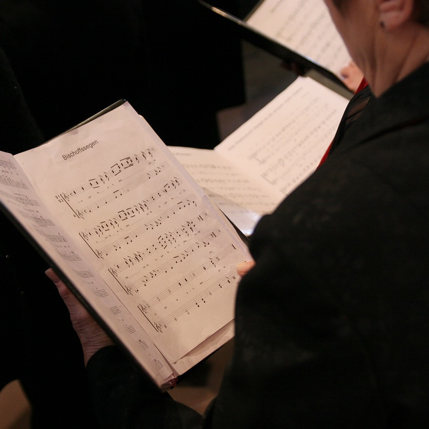 Chor „Pro Musica“ 