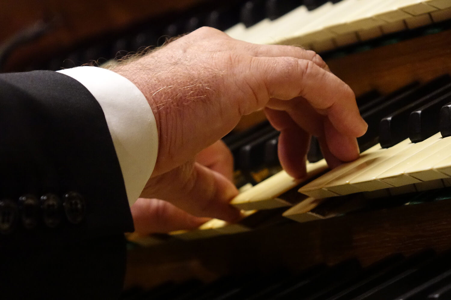 Domorganist Wolfgang Kreuzhuber an der Rudigierorgel